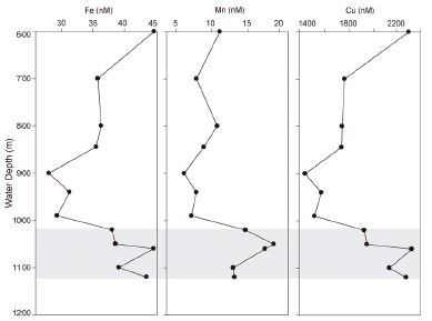 Fig. 9.