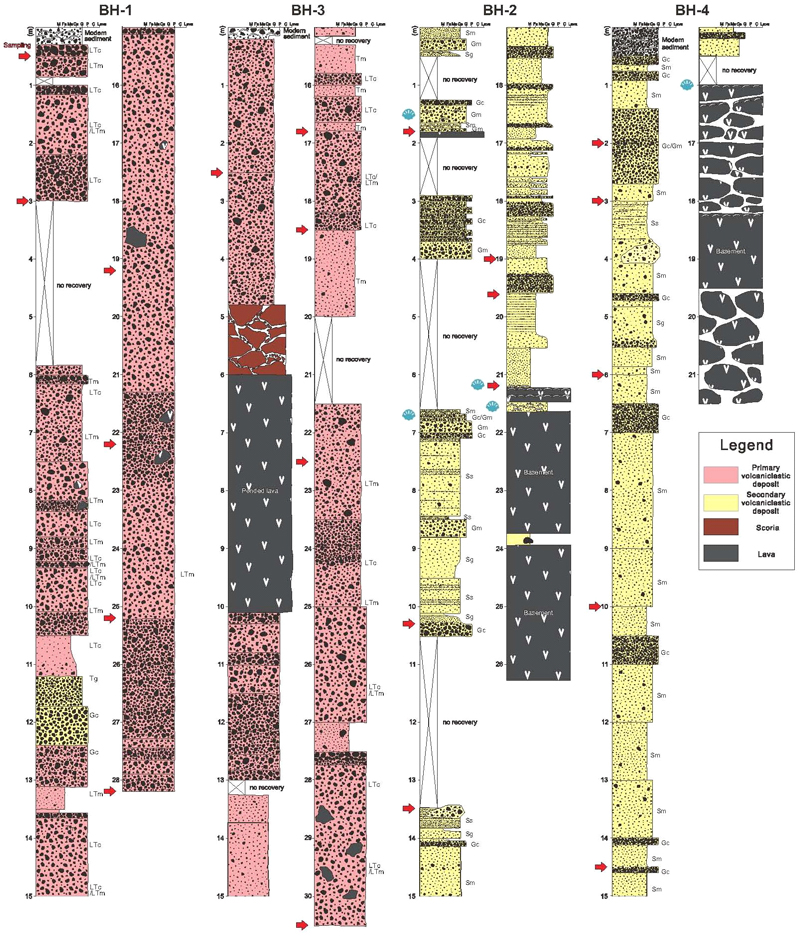 Fig. 7.