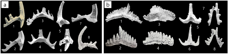 Fig. 5.