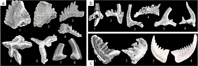 Fig. 10.