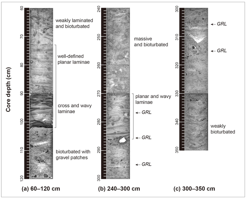 Fig. 4.