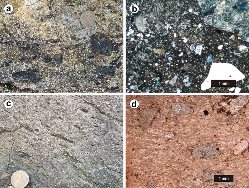 Fig. 4. Fig. 4.