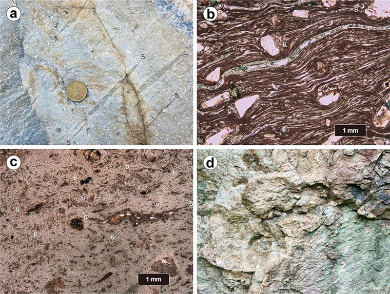 Fig. 7. Fig. 7.