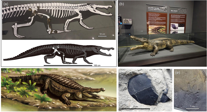 Fig. 11. Fig. 11.