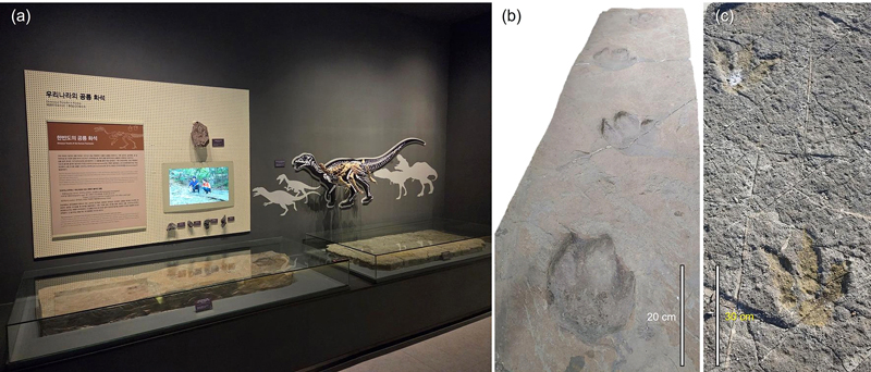 Fig. 12. Fig. 12.