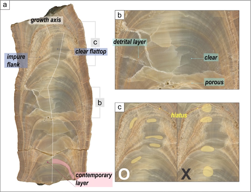 Fig. 5.